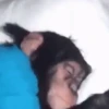 ACORDA PEDRINHO 5