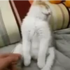 Memes & reações 14