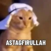 Kucing Gemoy 13