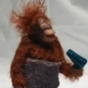FUNNY ANIMALS 11