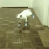 🐾❤️Gatitos para ti😻😽 6