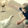 Memes animados pa' enviar 😎 19