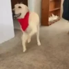 Random Collection 6