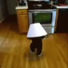 Funny Babies 5