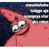 Petrik no ingfo 15