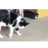 Memes graciosos 6🤣🤣 7
