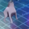 Танцы 13