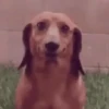 Momento Incómodo 👀 10