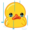 Utya duck 12