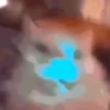 Beijo de gato 6