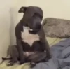 FUNNY REACTIONS 12