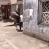 JUST MEME 9
