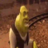 Shrek 14