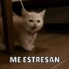 Memes pt.3 9