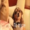 SÓ TRISTEZA 😢 12