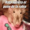Animados Random 8