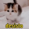 Melhores memes 5