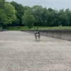 🐕 PUSHKIN TIK TOK 🐾 11