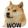 Funny doge 15
