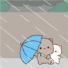 Bubu 9