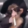 Memes pa’ enviar Animados 6 7