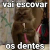 Respostas rápidas 😆✌🏻 6