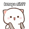 Peach kucing lucu 13