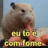 Memes de pets 5
