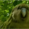Mix of memes for the kids 27