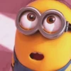 Pack minions 16