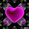 Heart 5