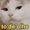 Reage com deboche 😂 9