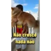 Scobar 2.0 14
