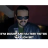 DINDHORA - BB KI VINES 20