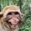 Trending memes 23