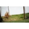 Monkey 9
