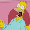 HOMER SIMPSON 💛 14