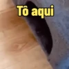 Reações e memes 🌟 12