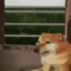 Viral meme 6