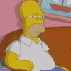 HOMER SIMPSON 💛 9
