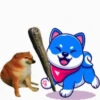 Memes 6
