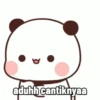 Bububu panda 13