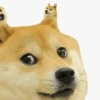 Funny Meme 9
