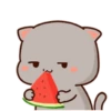 Kucing 1 6