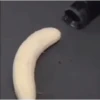 Random Memes And Pranks 11