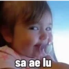 sa ae lu