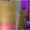 Tiktok Virales Mix 2😎🤙 15