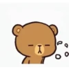 MOCHA BEAR 14
