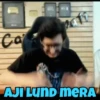 Carryminati 14
