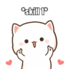 Peach Cat (4) 10